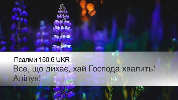 Псалми 150:6 UKR Bible Verse Image