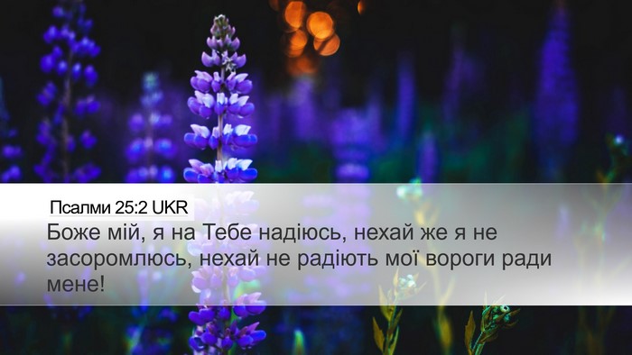 Псалми 25:2 UKR Bible Verse Image