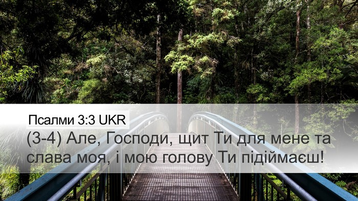 Псалми 3:3 UKR Bible Verse Image