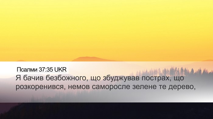 Псалми 37:35 UKR Bible Verse Image