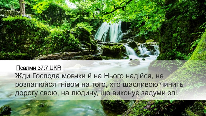 Псалми 37:7 UKR Bible Verse Image
