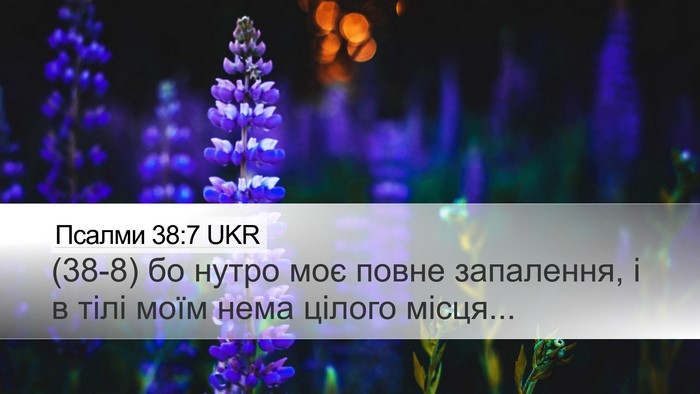 Псалми 38:7 UKR Desktop Wallpaper - (38-8) бо нутро моє повне - Desktop Bible Verse Wallpaper