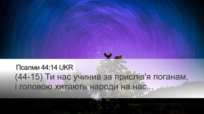 Псалми 44:14 UKR Bible Verse Image