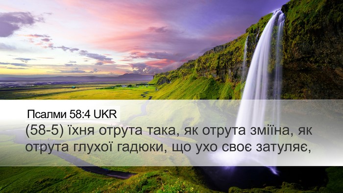 Псалми 58:4 UKR Bible Verse Image