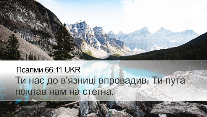 Псалми 66:11 UKR Bible Verse Image