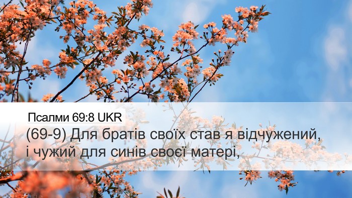 Псалми 69:8 UKR Desktop Wallpaper - (69-9) Для братів своїх став я - Desktop Bible Verse Wallpaper