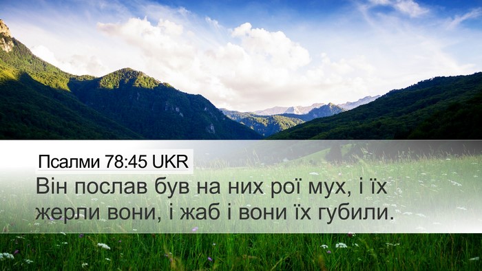Псалми 78:45 UKR Desktop Wallpaper - Він послав був на них рої - Desktop Bible Verse Wallpaper
