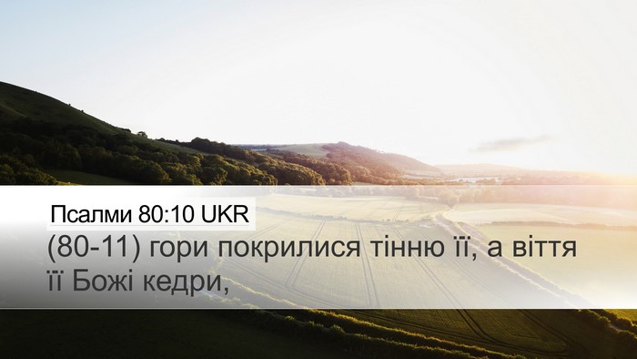 Псалми 80:10 UKR Desktop Wallpaper - (80-11) гори покрилися тінню - Desktop Bible Verse Wallpaper