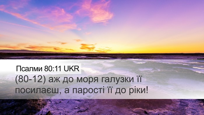 Псалми 80:11 UKR Bible Verse Image