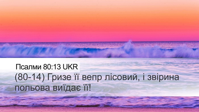 Псалми 80:13 UKR Desktop Wallpaper - (80-14) Гризе її вепр лісовий, - Desktop Bible Verse Wallpaper
