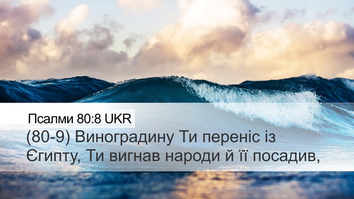 Псалми 80:8 UKR Bible Verse Image