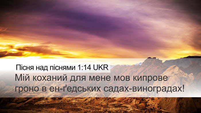 Пісня над піснями 1:14 UKR Bible Verse Image