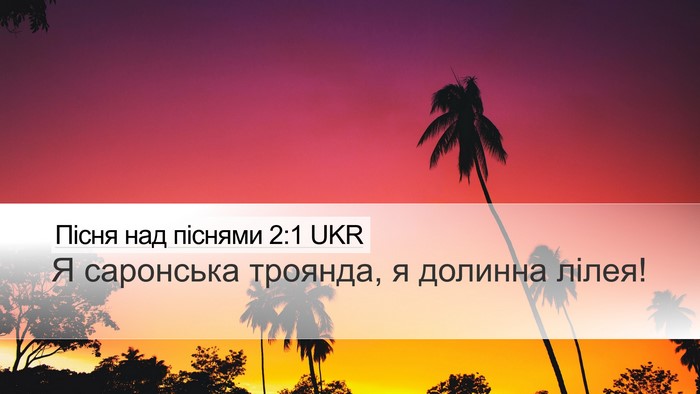 Пісня над піснями 2:1 UKR Bible Verse Image