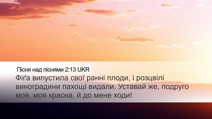 Пісня над піснями 2:13 UKR Desktop Wallpaper - Фіґа випустила свої ранні - Desktop Bible Verse Wallpaper
