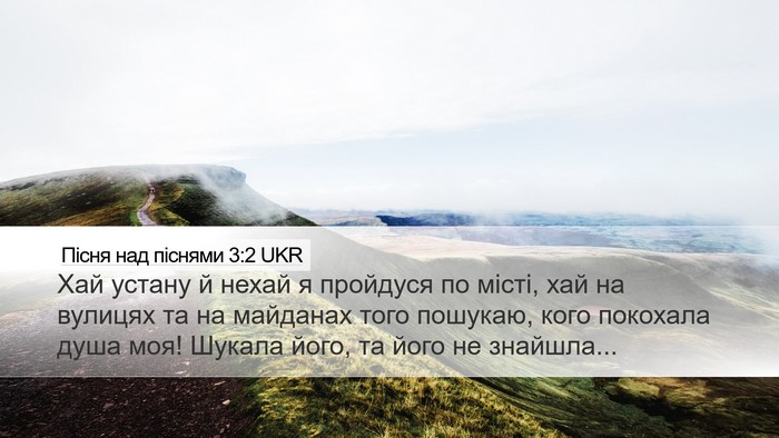 Пісня над піснями 3:2 UKR Bible Verse Image
