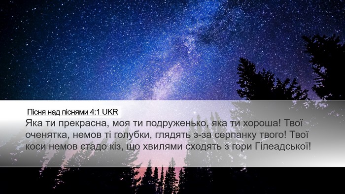 Пісня над піснями 4:1 UKR Bible Verse Image