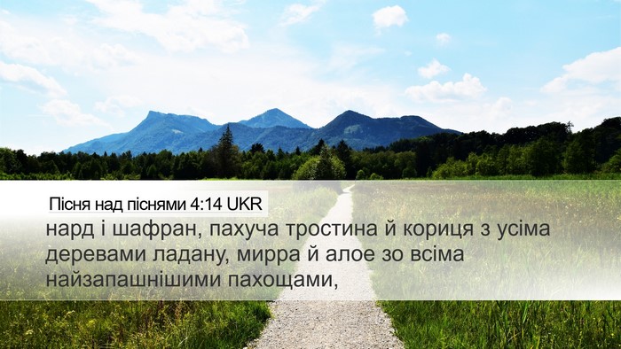 Пісня над піснями 4:14 UKR Bible Verse Image