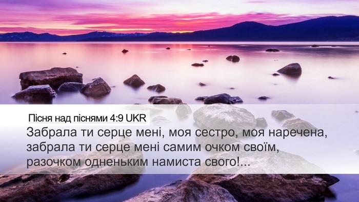 Пісня над піснями 4:9 UKR Bible Verse Image