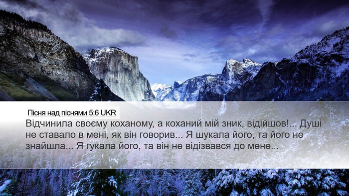 Пісня над піснями 5:6 UKR Bible Verse Image