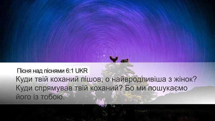 Пісня над піснями 6:1 UKR Bible Verse Image