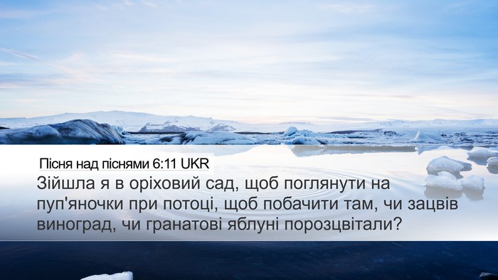 Пісня над піснями 6:11 UKR Bible Verse Image