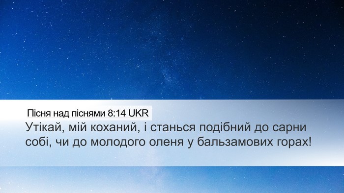 Пісня над піснями 8:14 UKR Bible Verse Image