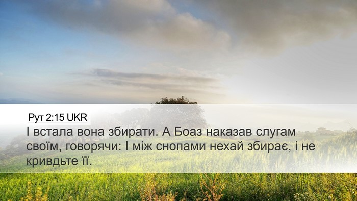 Рут 2:15 UKR Desktop Wallpaper - І встала вона збирати. А - Desktop Bible Verse Wallpaper