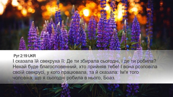 Рут 2:19 UKR Desktop Wallpaper - І сказала їй свекруха її: - Desktop Bible Verse Wallpaper