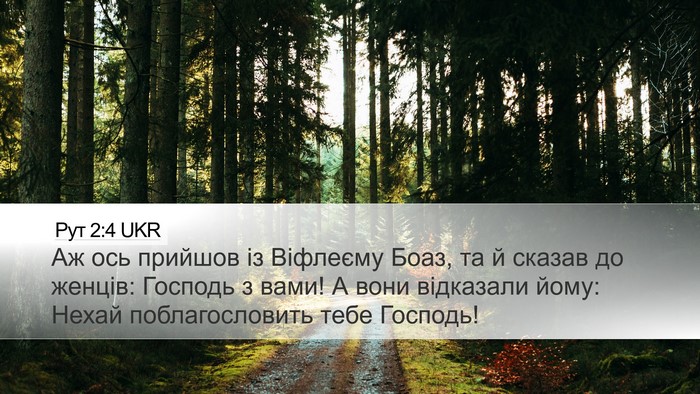 Рут 2:4 UKR Bible Verse Image