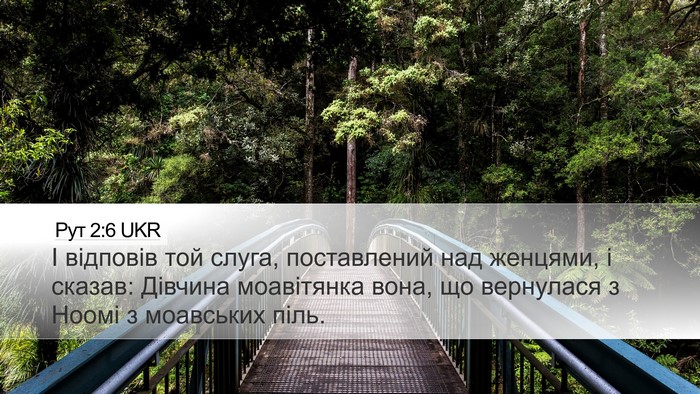 Рут 2:6 UKR Desktop Wallpaper - І відповів той слуга, - Desktop Bible Verse Wallpaper