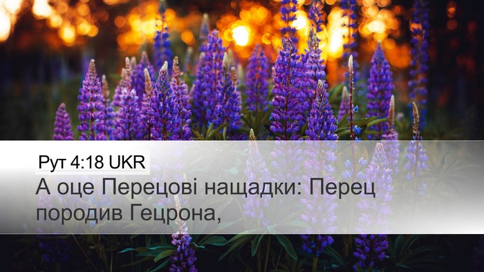 Рут 4:18 UKR Bible Verse Image