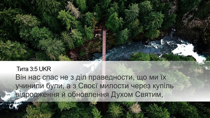 Тита 3:5 UKR Bible Verse Image