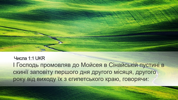Числа 1:1 UKR Desktop Wallpaper - І Господь промовляв до - Desktop Bible Verse Wallpaper