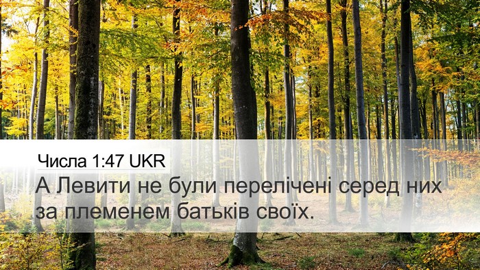 Числа 1:47 UKR Bible Verse Image