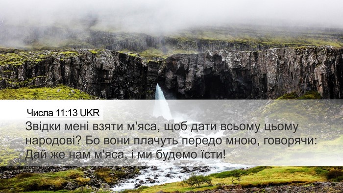 Числа 11:13 UKR Desktop Wallpaper - Звідки мені взяти м'яса, - Desktop Bible Verse Wallpaper