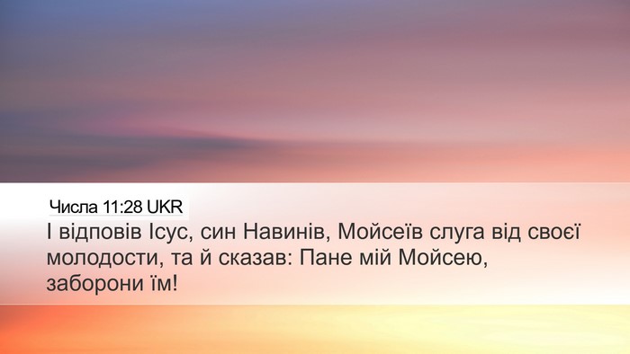 Числа 11:28 UKR Bible Verse Image
