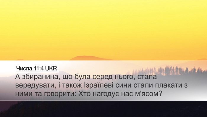 Числа 11:4 UKR Desktop Wallpaper - А збиранина, що була серед - Desktop Bible Verse Wallpaper