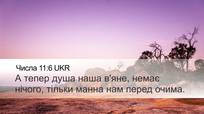 Числа 11:6 UKR Desktop Wallpaper - А тепер душа наша в'яне, - Desktop Bible Verse Wallpaper