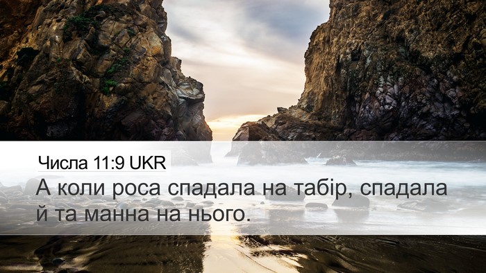 Числа 11:9 UKR Desktop Wallpaper - А коли роса спадала на - Desktop Bible Verse Wallpaper
