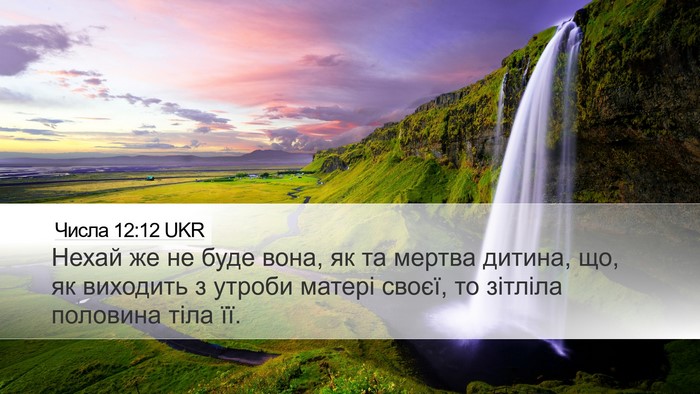 Числа 12:12 UKR Desktop Wallpaper - Нехай же не буде вона, як та - Desktop Bible Verse Wallpaper