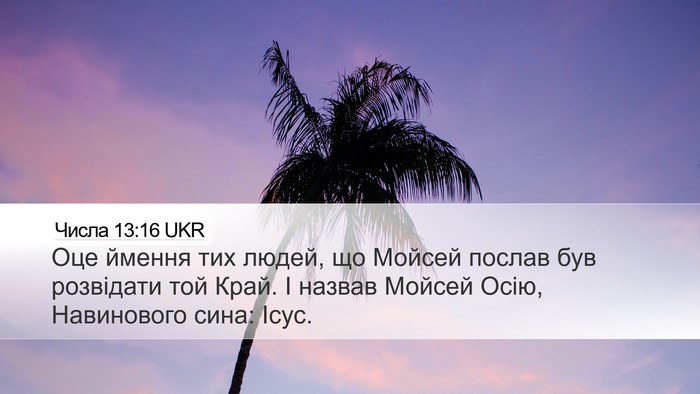 Числа 13:16 UKR Bible Verse Image