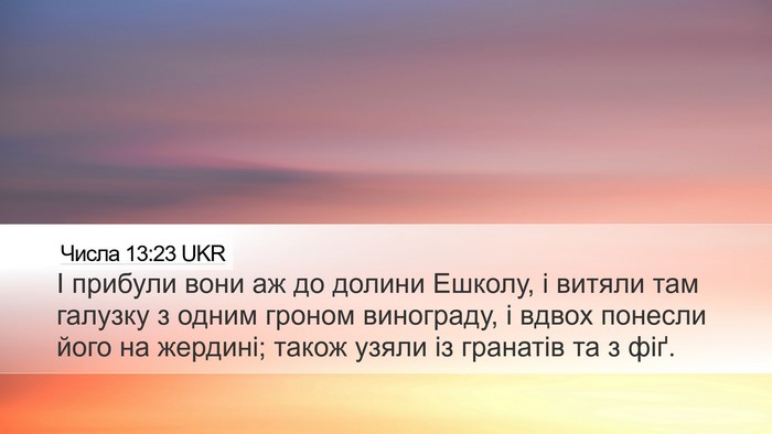 Числа 13:23 UKR Bible Verse Image