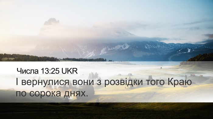 Числа 13:25 UKR Desktop Wallpaper - І вернулися вони з - Desktop Bible Verse Wallpaper