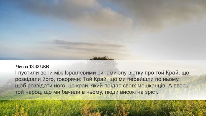 Числа 13:32 UKR Desktop Wallpaper - І пустили вони між - Desktop Bible Verse Wallpaper