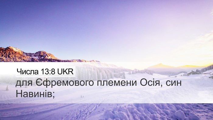 Числа 13:8 UKR Bible Verse Image
