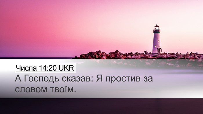 Числа 14:20 UKR Bible Verse Image