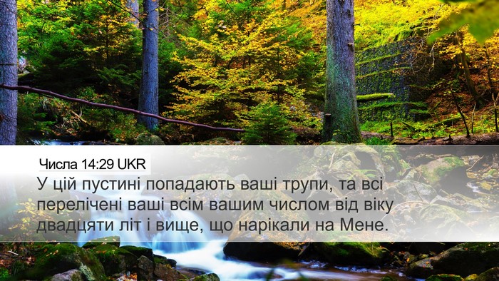 Числа 14:29 UKR Bible Verse Image