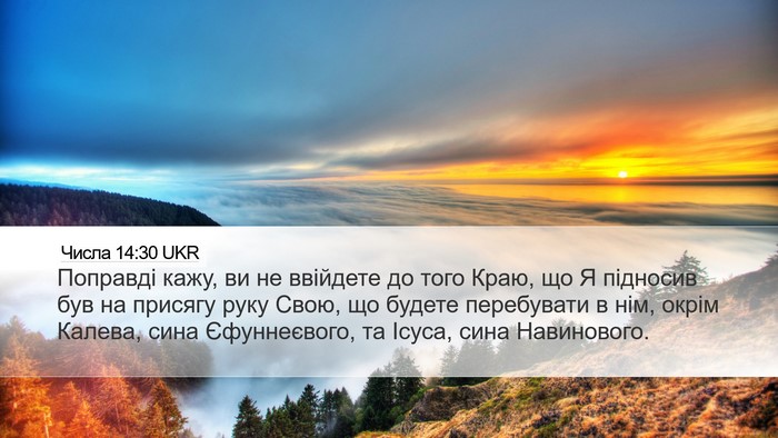 Числа 14:30 UKR Bible Verse Image