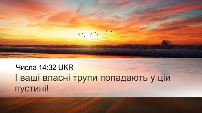 Числа 14:32 UKR Desktop Wallpaper - І ваші власні трупи - Desktop Bible Verse Wallpaper