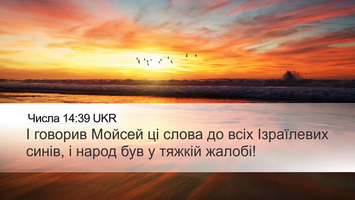 Числа 14:39 UKR Desktop Wallpaper - І говорив Мойсей ці слова - Desktop Bible Verse Wallpaper